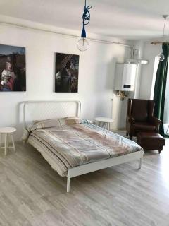 Beautiful Studio near the center of Cluj - Cluj-Napoca - 8
