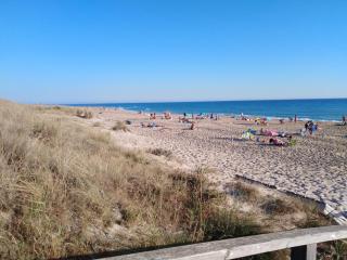 Entre Pinos - El Palmar - 7