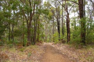 Ashleigh - In Town - Margaret River - Margaret River - 6