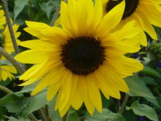 Haus Bergkristall - 4