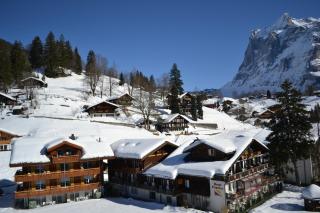 Hotel Caprice - Grindelwald - Grindelwald - 2