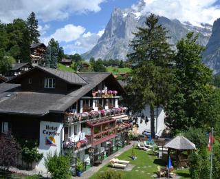 Hotel Caprice - Grindelwald - Grindelwald - 2