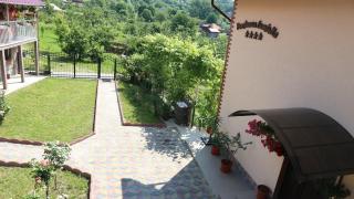 Pensiunea Luminita - Mustăţeşti - 1