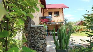 Pensiunea Luminita - Mustăţeşti - 7