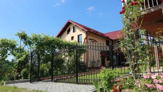 Pensiunea Luminita - Mustăţeşti - 6