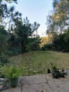 Tucked away in the tree tops - Hillcrest - 3