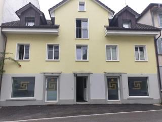 3 Doppelbett Business Apartment am Bodensee - Arbon - 9