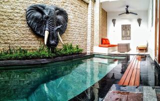 Colibry - Sanur - 9