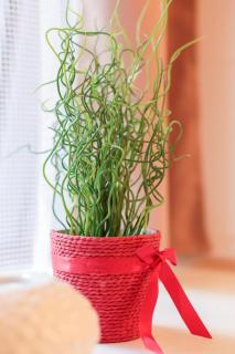 Smart Apartments ЦЕНТР - Lwiw - 1