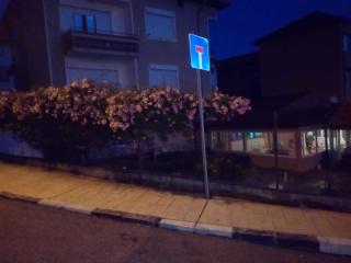 Teo's Guest House - 7