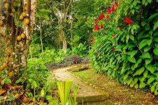 Hostal Pakay - Tena - 7