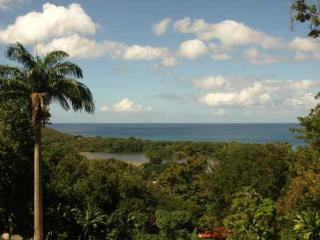 Villa Mahogany - Deshaies - 2