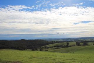 Rosewood Farmstay - Binda - 5