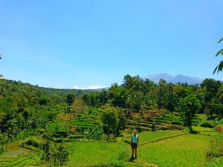 Aryasuta Bungalow - Tetebatu - 8