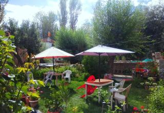 Saiman Guest House - Leh - 9