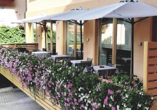 Hotel Paganella - Molveno - 5
