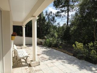 Grande Terrasse 800m Plage Demoiselles - Saint-Jean-de-Monts - 6