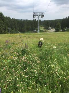 Haus Ina - Ferienwohnung Rondar - 3