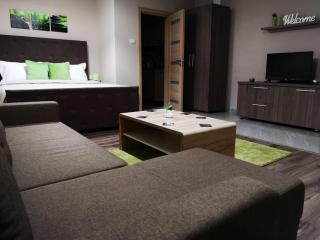 Irina Apartments - Timişoara - 1