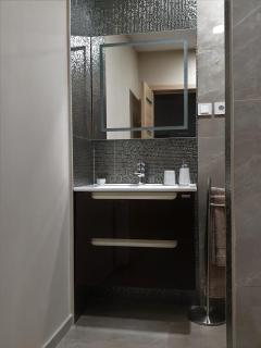 Irina Apartments - Timişoara - 8