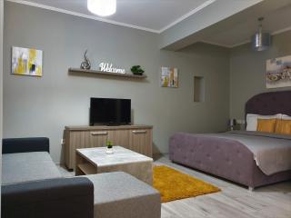 Irina Apartments - Timişoara - 5