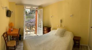 Hôtel des Bains et des Gorges - Amélie-les-Bains-Palalda - 2