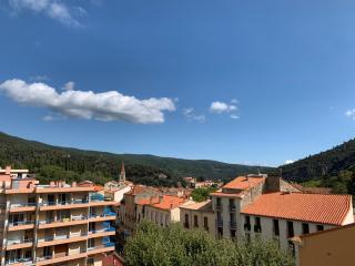Hôtel des Bains et des Gorges - Amélie-les-Bains-Palalda - 5