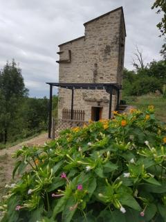 Le pigeonnier de felines - Caylus - 2