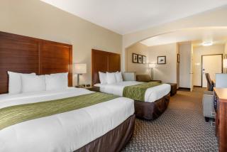 Comfort Inn & Suites Galt - Lodi North - 4