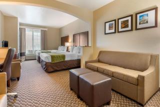 Comfort Inn & Suites Galt - Lodi North - 6