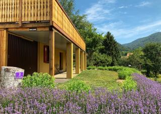 Altitude 910 - Le Paquier - 1