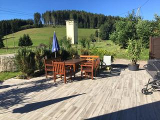 Pension Altvogtshof - Eisenbach - 1