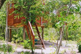Palmento Grove Garifuna Eco-Cultural & Healing Institute - Hopkins - 3
