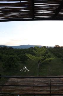 Moon Village Khaoyai Holiday Home - Pong Talong - 2