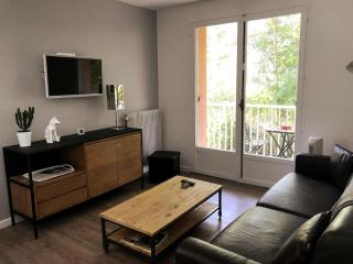 LE NID DE LA PIRAZ - Parking, Balcon & Netflix ! - Annecy - 3