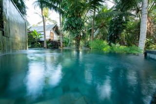 Ubud Tropical - Ubud - 6