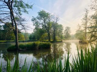 Gîte Martin pêcheur au coeur de la nature - Moncoutant - 9