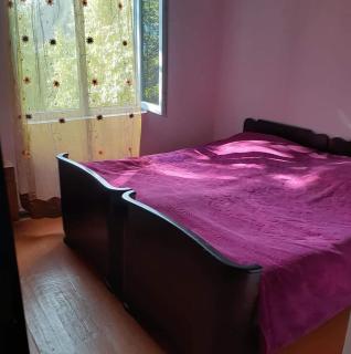 Guest House Malkhaz Niguriani - Zhabeshi - 3
