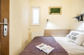 A9 Houseleek Astoria - Budapest - 4