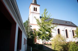 Weingut Johanneshof - Minheim - 1