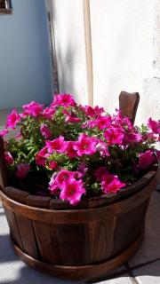 B&B L'arco Fiorito - 2