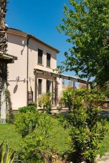 Country House il Gelso e l'Ulivo appartamento in villa l'Ulivo - 6