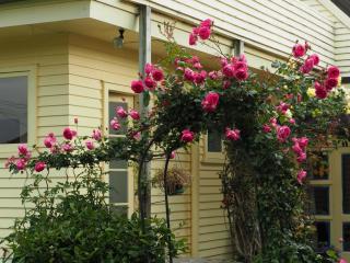 59 Chaucer Apartment - Cambridge - 6
