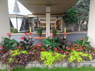 Tiki Resort - Lake George - Lake George - 4