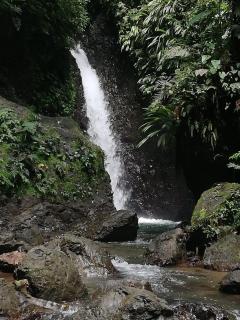 Posada El Acuario - Bahía Solano - 3