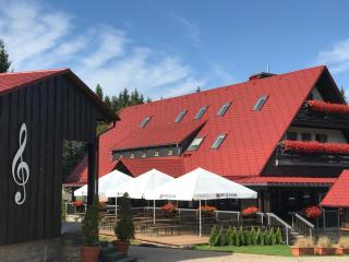 Berggasthof Heuberghaus, direkt am Rennsteig - Friedrichroda - 7