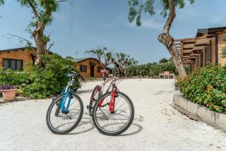 Dimora La Vignazza Agri Resort - 3