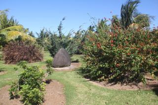 Domaine des Oiseaux Réunion - Saint-André - 1
