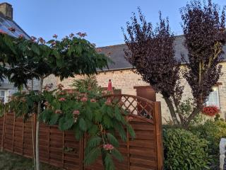 Gites De La Melautais - Saint-Juvat - 3