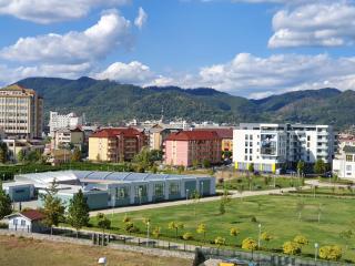 Central ParkView Apartment - Baia Mare - 0